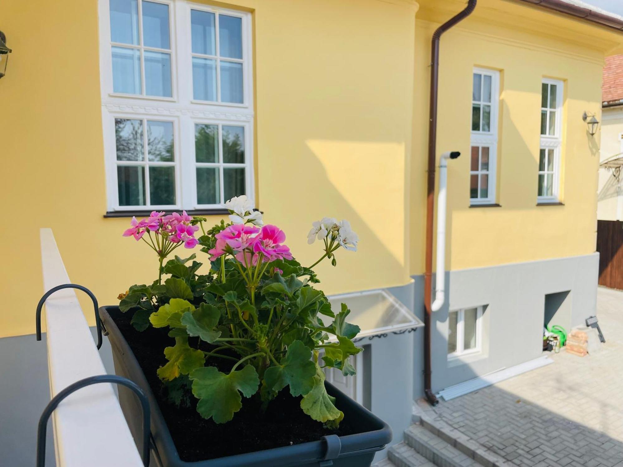 Villabaroque_Eger Eksteriør bilde